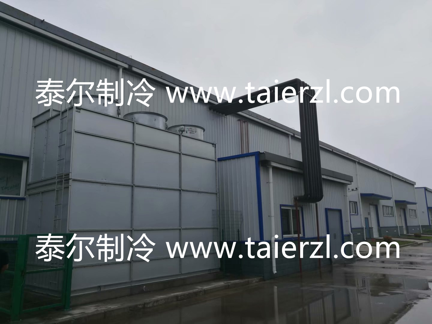 九州通医药集团