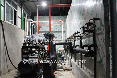 仙桃长淌口屠宰场