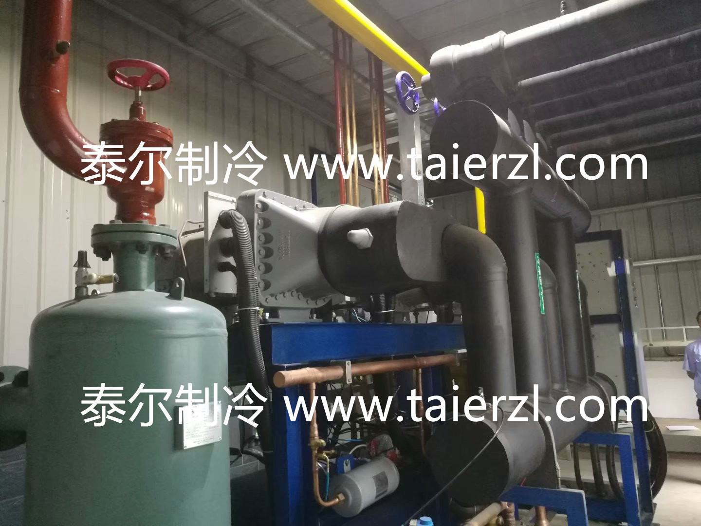 1541990698242115.jpg 1541990698242115.jpg