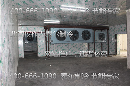 1542092793259223.jpg 3.jpg