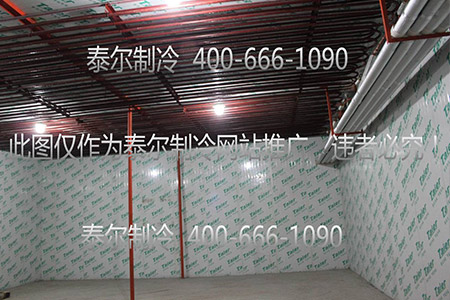 1542093278857827.jpg 4.jpg