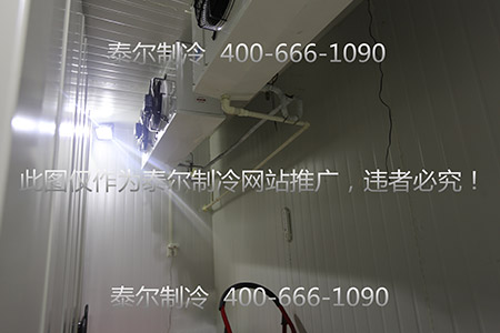 1542095669280497.jpg 370A7345_副本.jpg