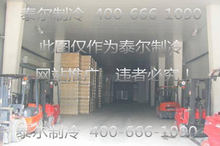 1542101245272903.jpg 2.jpg